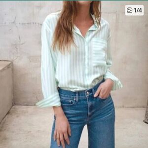 AYR The Plunge Pool Button Down in Wasabi Stripe XL Extra Large